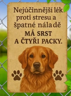 Nástěnná dekorace na zavěšení  - Psí citát 